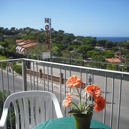 Padulella